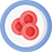 stem cells